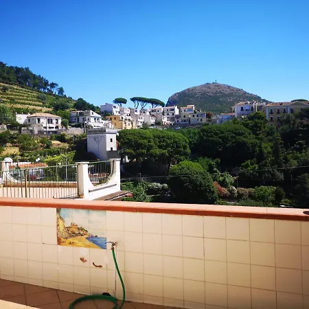 Terrazza Mediterranea